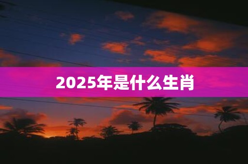 2025年是什么生肖