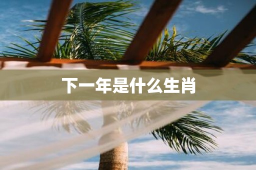 下一年是什么生肖