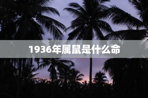 1936年属鼠是什么命