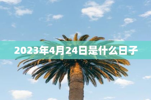 2025年4月24日是什么日子