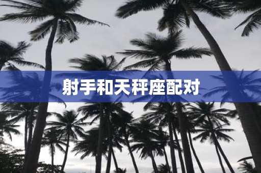 射手和天秤座配对
