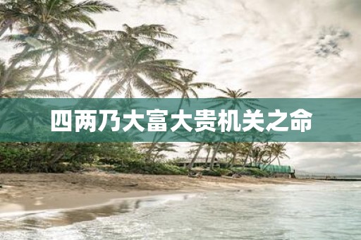 四两乃大富大贵机关之命