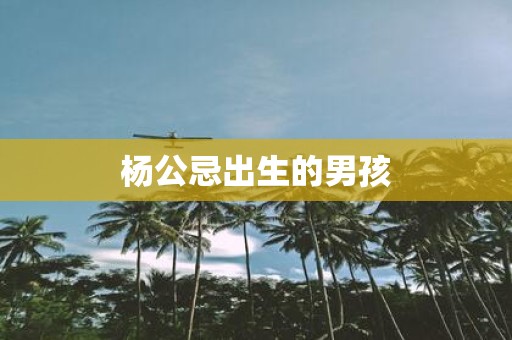 杨公忌出生的男孩