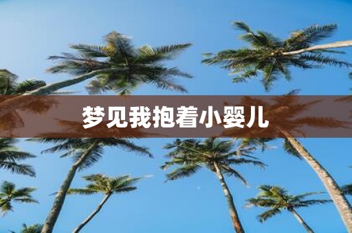 梦见我抱着小婴儿