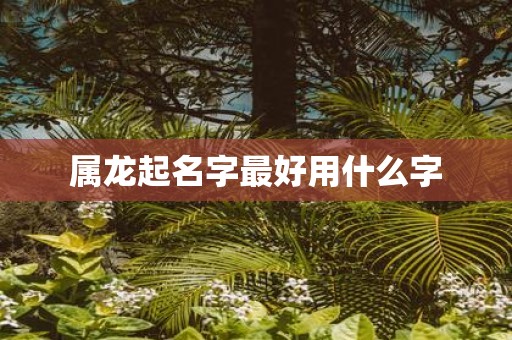 属龙起名字最好用什么字