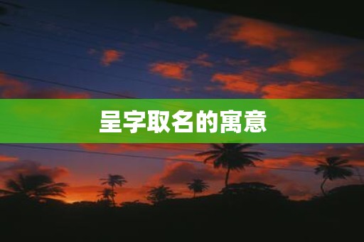 呈字取名的寓意