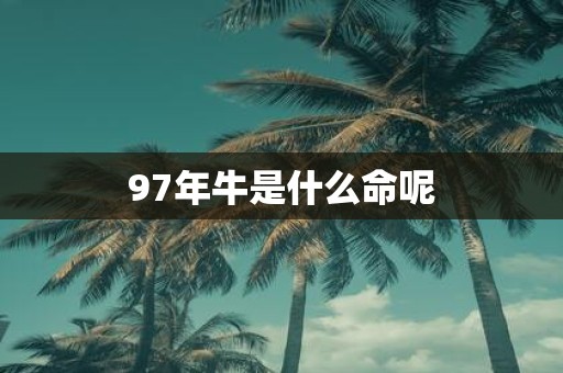 97年牛是什么命呢