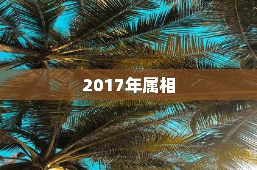 2017年属相