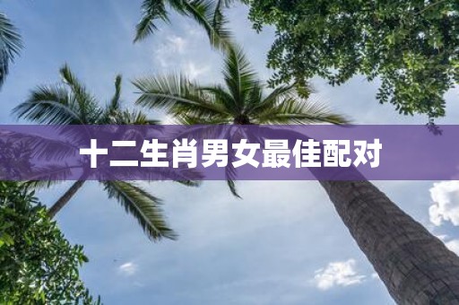 十二生肖男女最佳配对
