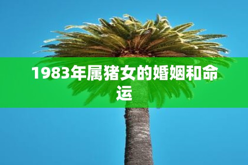 1983年属猪女的婚姻和命运