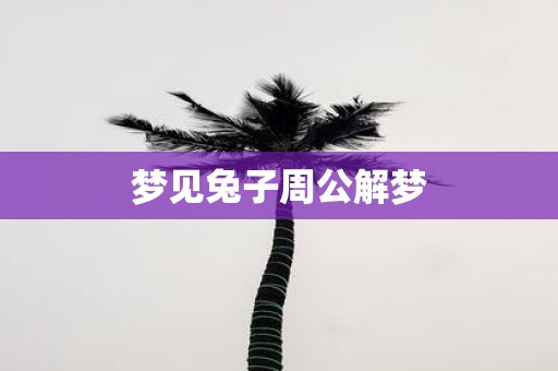 梦见兔子周公解梦