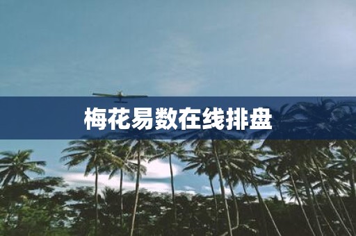 梅花易数在线排盘