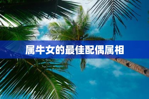 属牛女的最佳配偶属相
