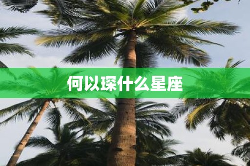 何以琛什么星座