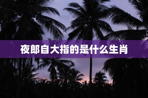 夜郎自大指的是什么生肖