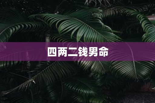 四两二钱男命