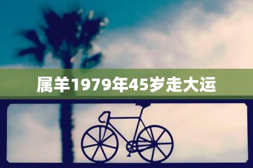 属羊1979年45岁走大运