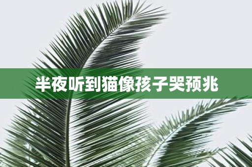 半夜听到猫像孩子哭预兆
