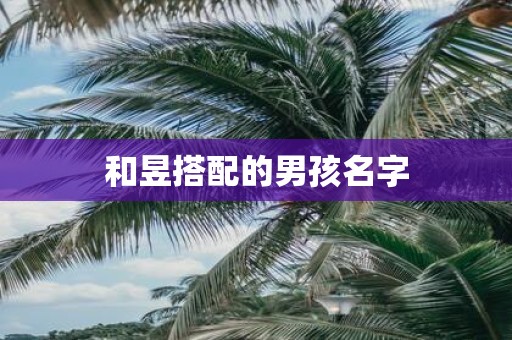 和昱搭配的男孩名字