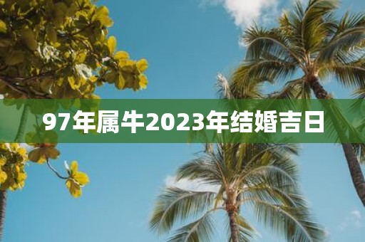 97年属牛2025年结婚吉日