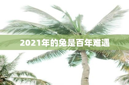 2021年的兔是百年难遇