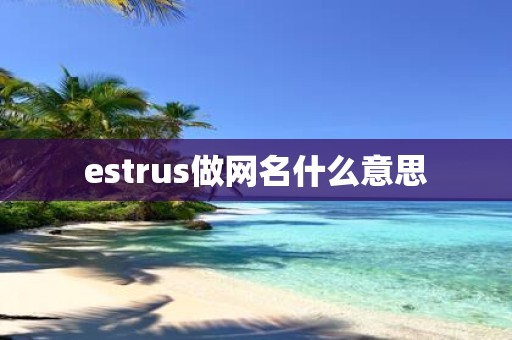 estrus做网名什么意思