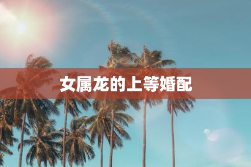 女属龙的上等婚配