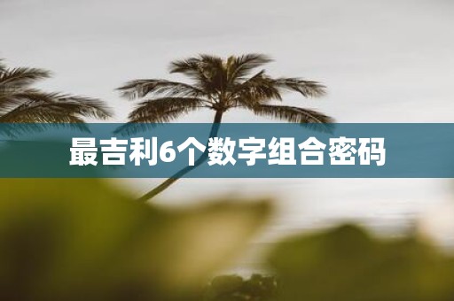 最吉利6个数字组合密码