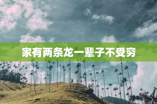 家有两条龙一辈子不受穷