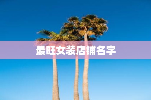 最旺女装店铺名字