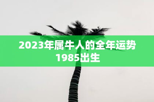 2025年属牛人的全年运势1985出生