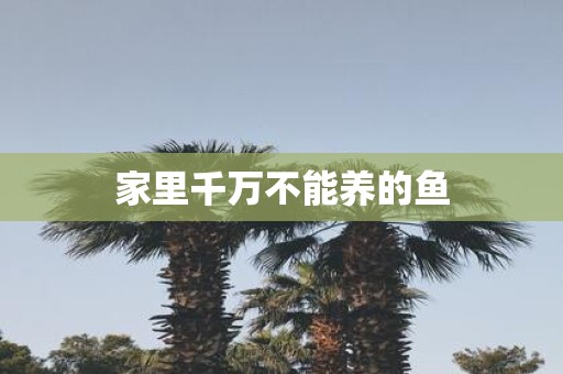 家里千万不能养的鱼