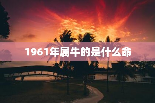 1961年属牛的是什么命