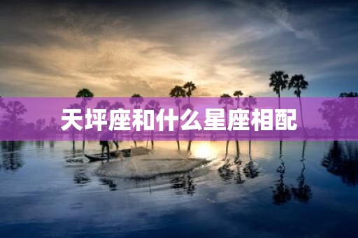 天坪座和什么星座相配