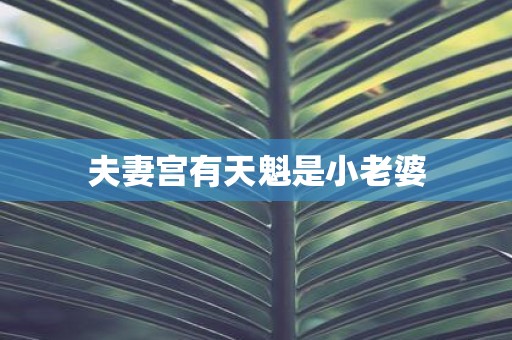 夫妻宫有天魁是小老婆