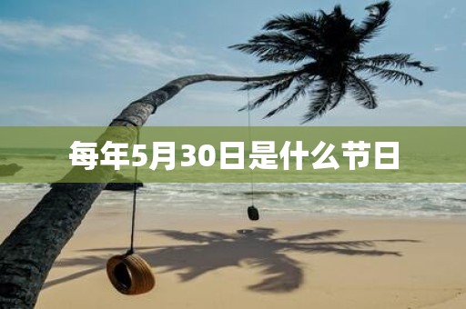 每年5月30日是什么节日