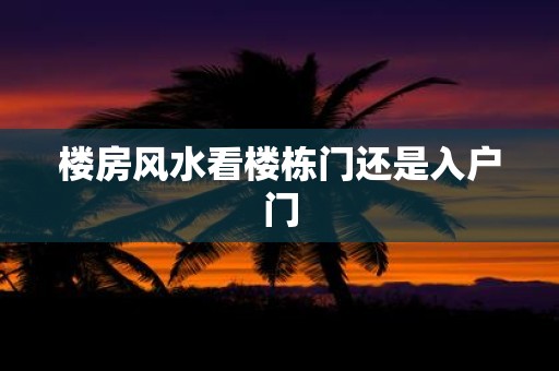 楼房风水看楼栋门还是入户门