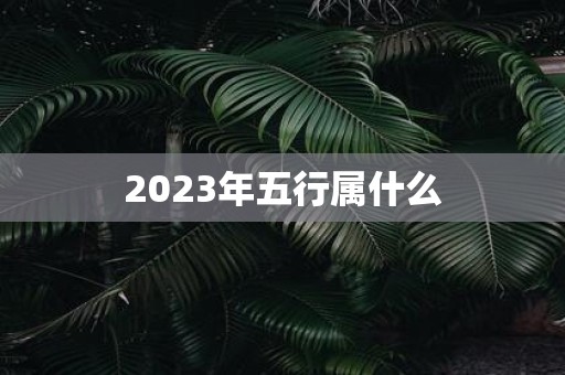 2025年五行属什么