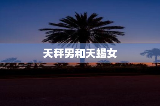 天秤男和天蝎女