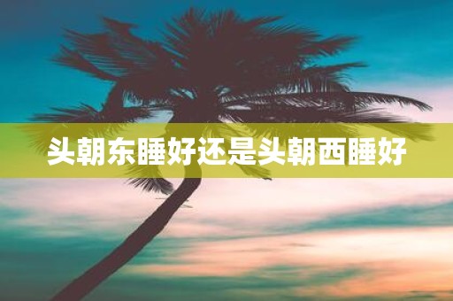 头朝东睡好还是头朝西睡好