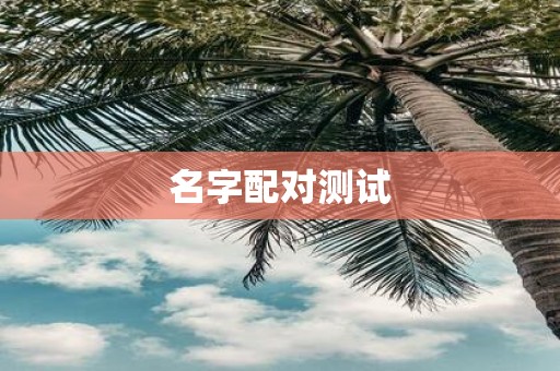 名字配对测试