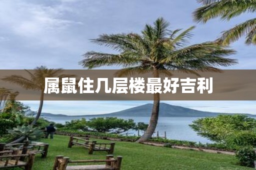 属鼠住几层楼最好吉利
