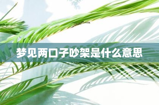 梦见两口子吵架是什么意思