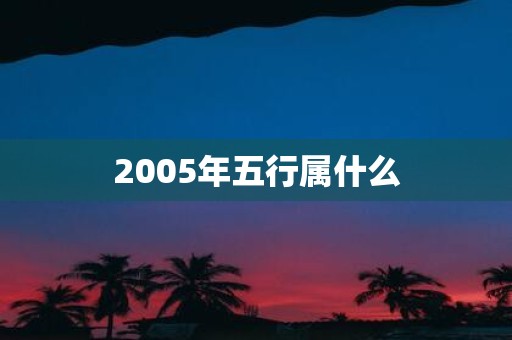 2005年五行属什么