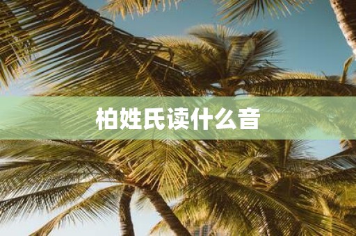 柏姓氏读什么音