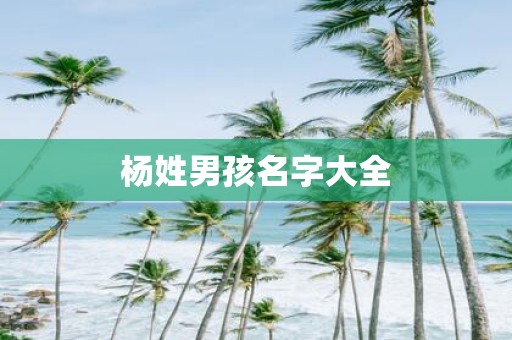 杨姓男孩名字大全