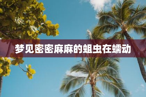 梦见密密麻麻的蛆虫在蠕动