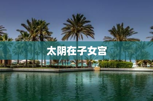 太阴在子女宫