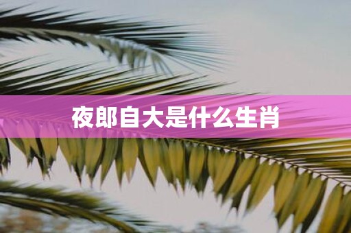 夜郎自大是什么生肖