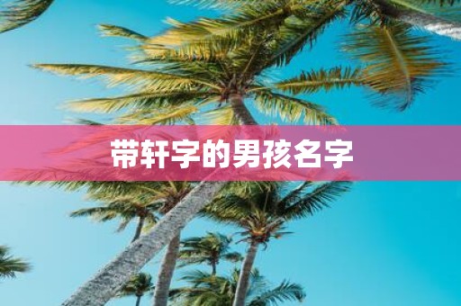 带轩字的男孩名字